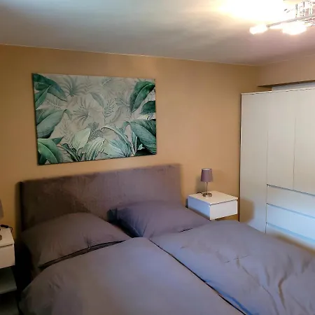 Rhein Souterrain Study Apartmán Vallendar