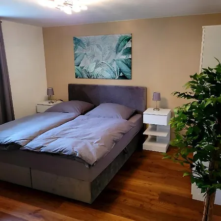 Rhein Souterrain Study